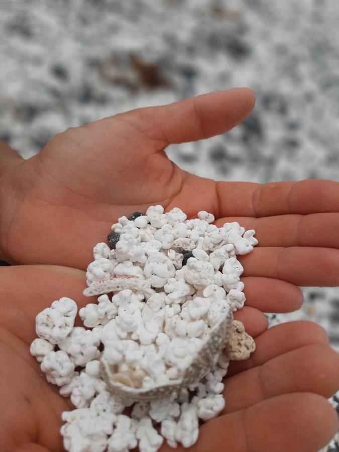 La Cueva Del Bounty Leilighet Puerto del Rosario  Eksteriør bilde